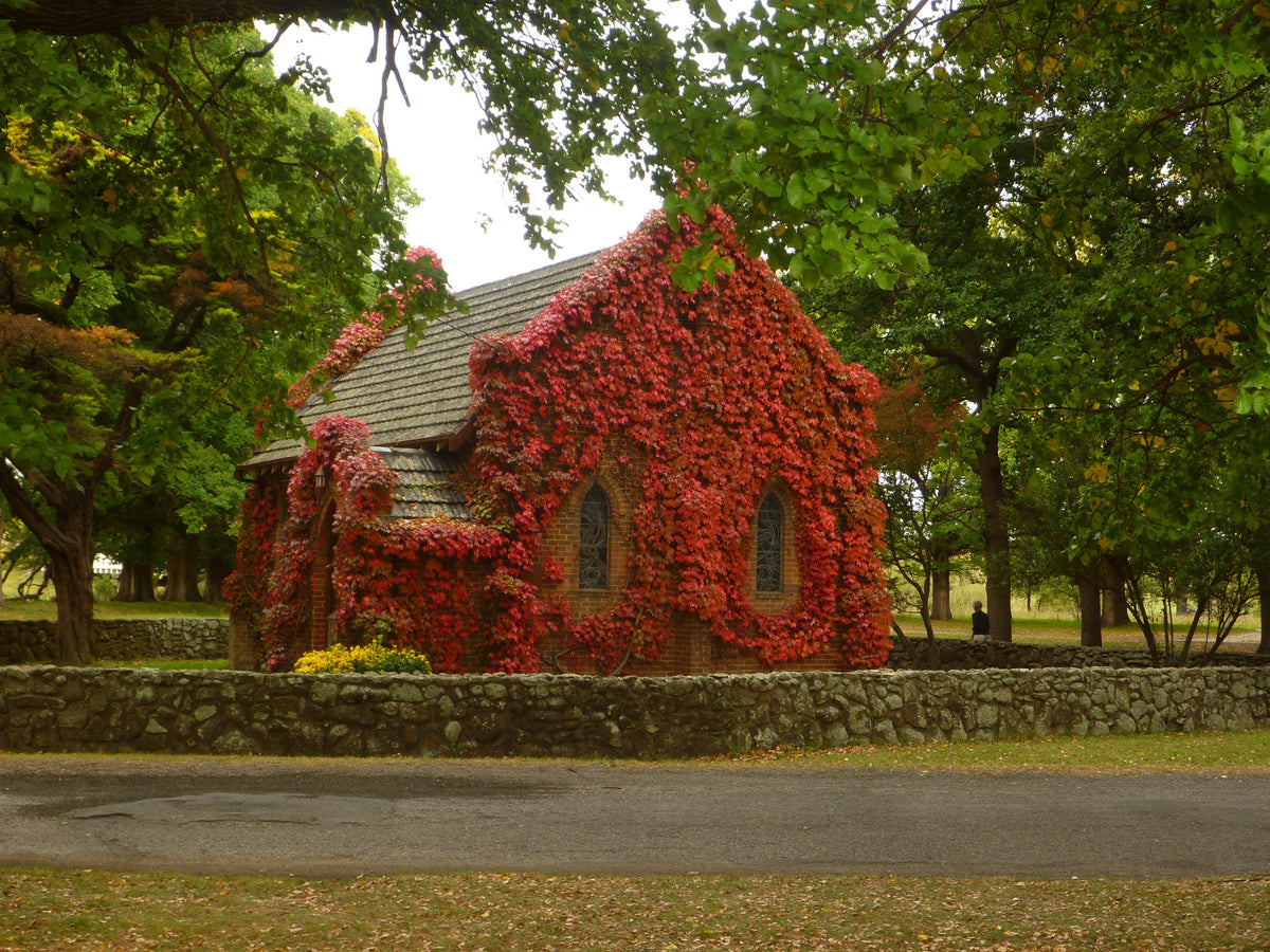 Where to Propose in Regional NSW: 7 Spots Away From the Crowds